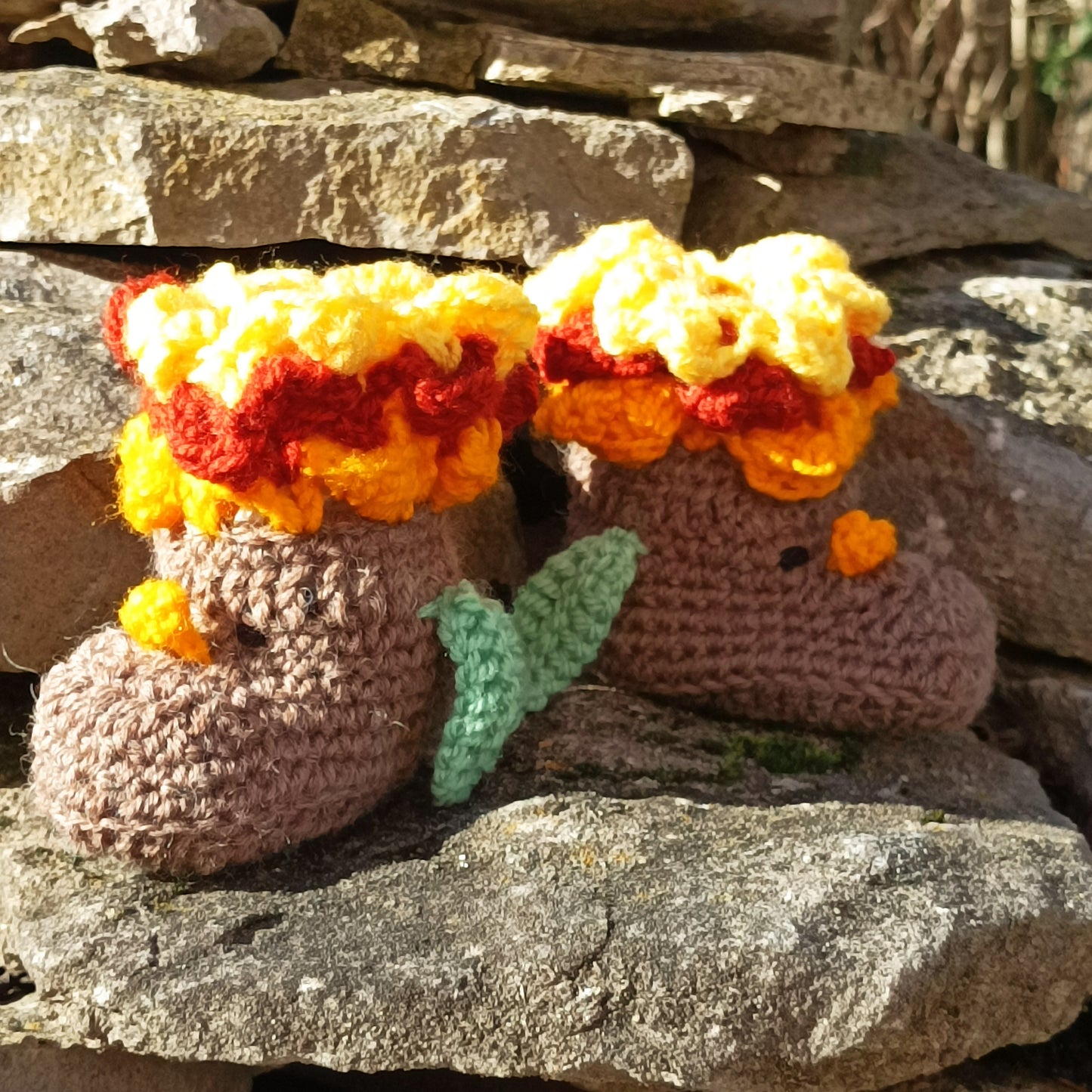 chaussons feuilles