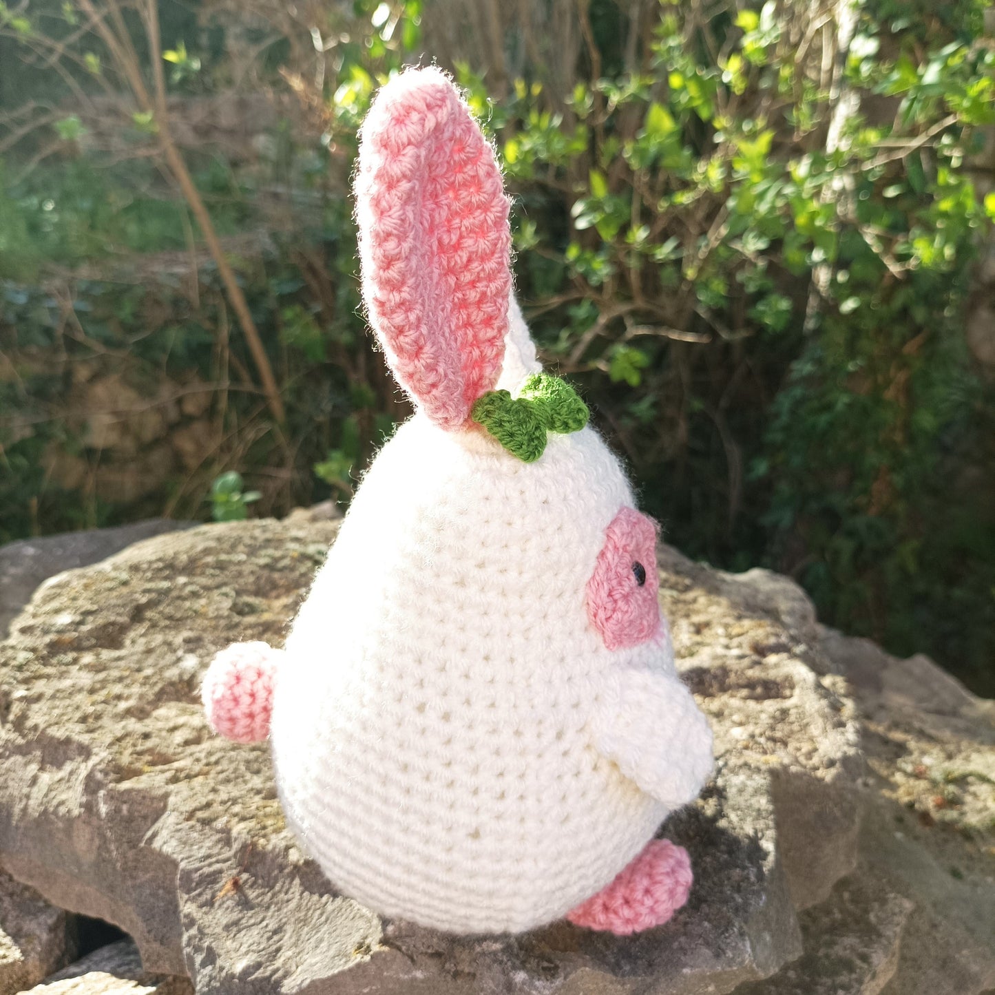 cute lapin