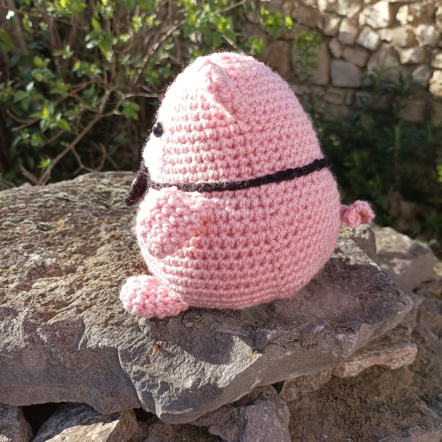 cute cochon