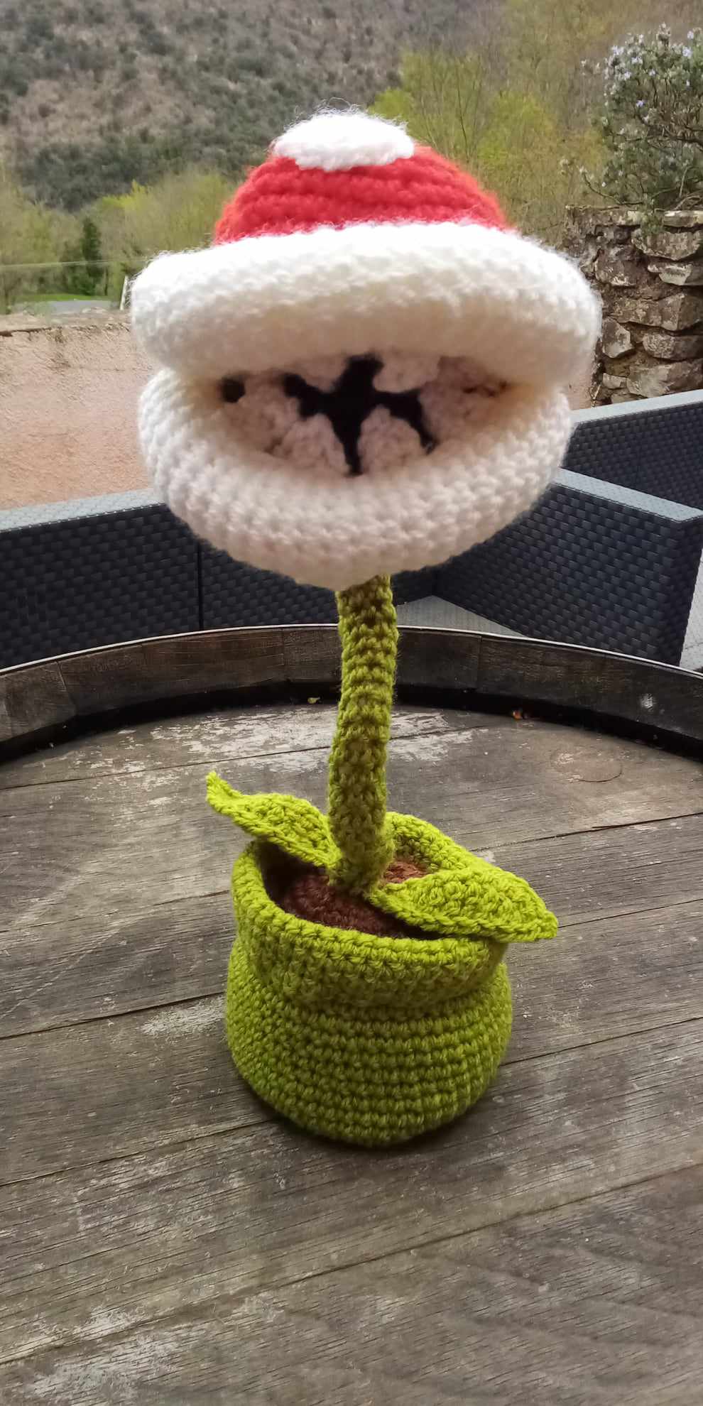 plante carnivore