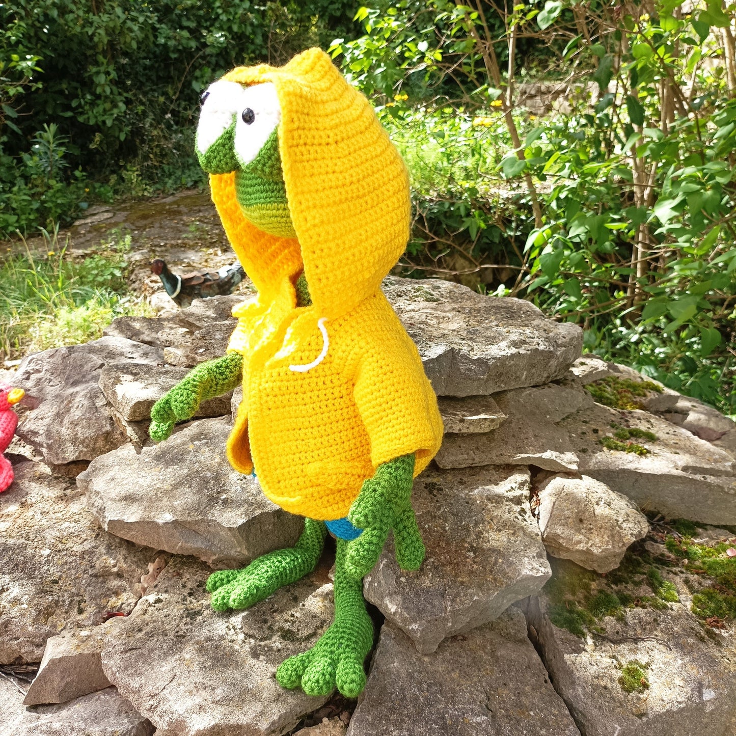 grenouille météo