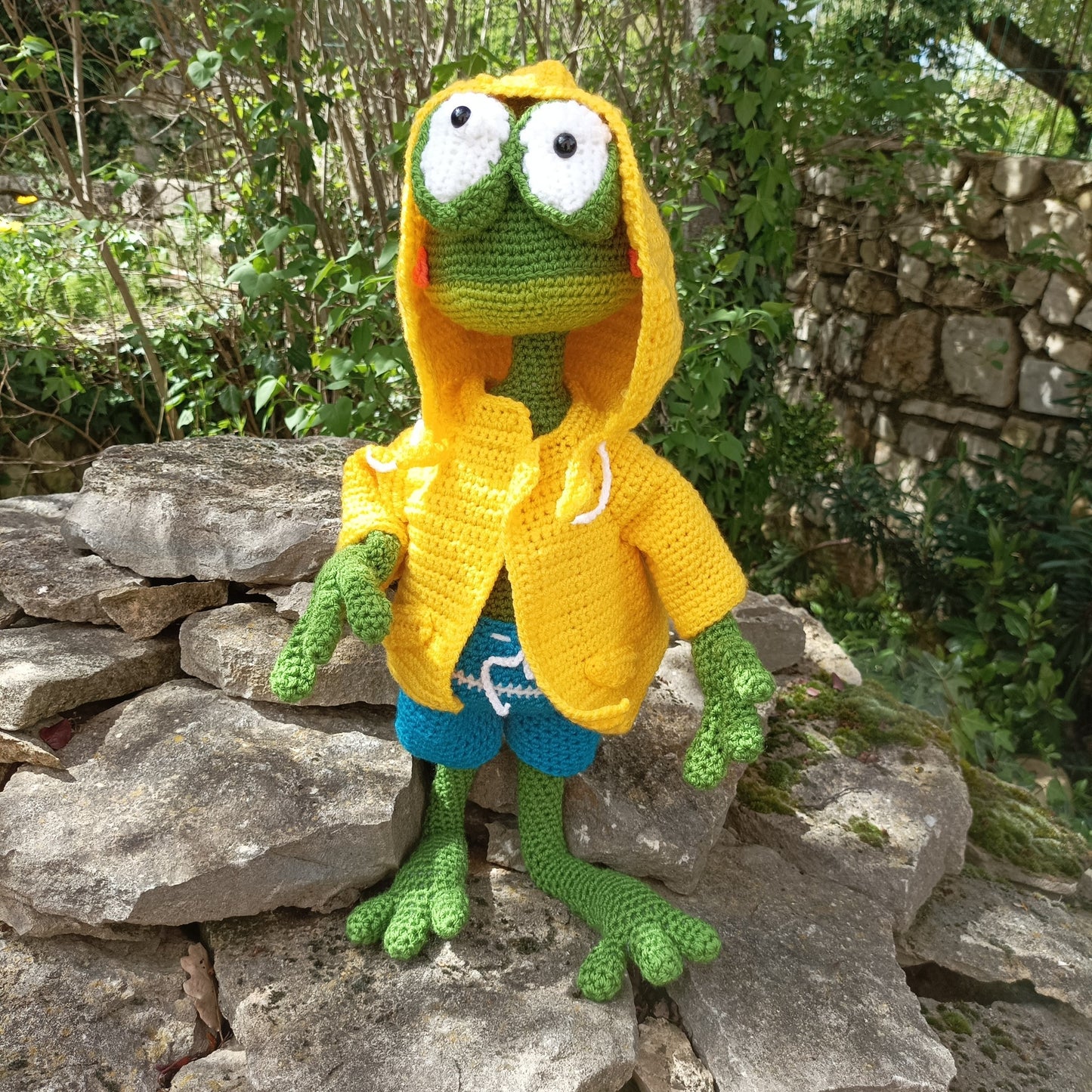 grenouille météo