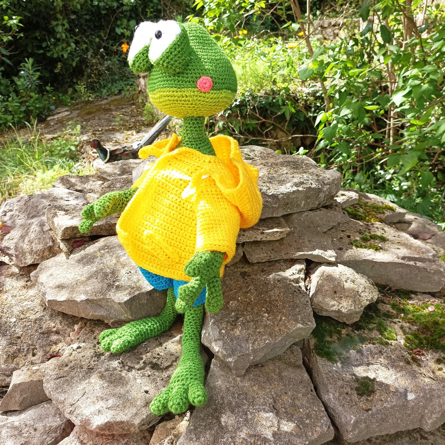 grenouille météo