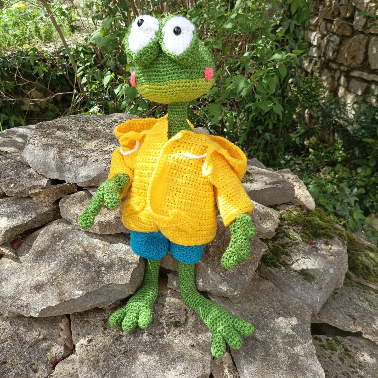 grenouille météo