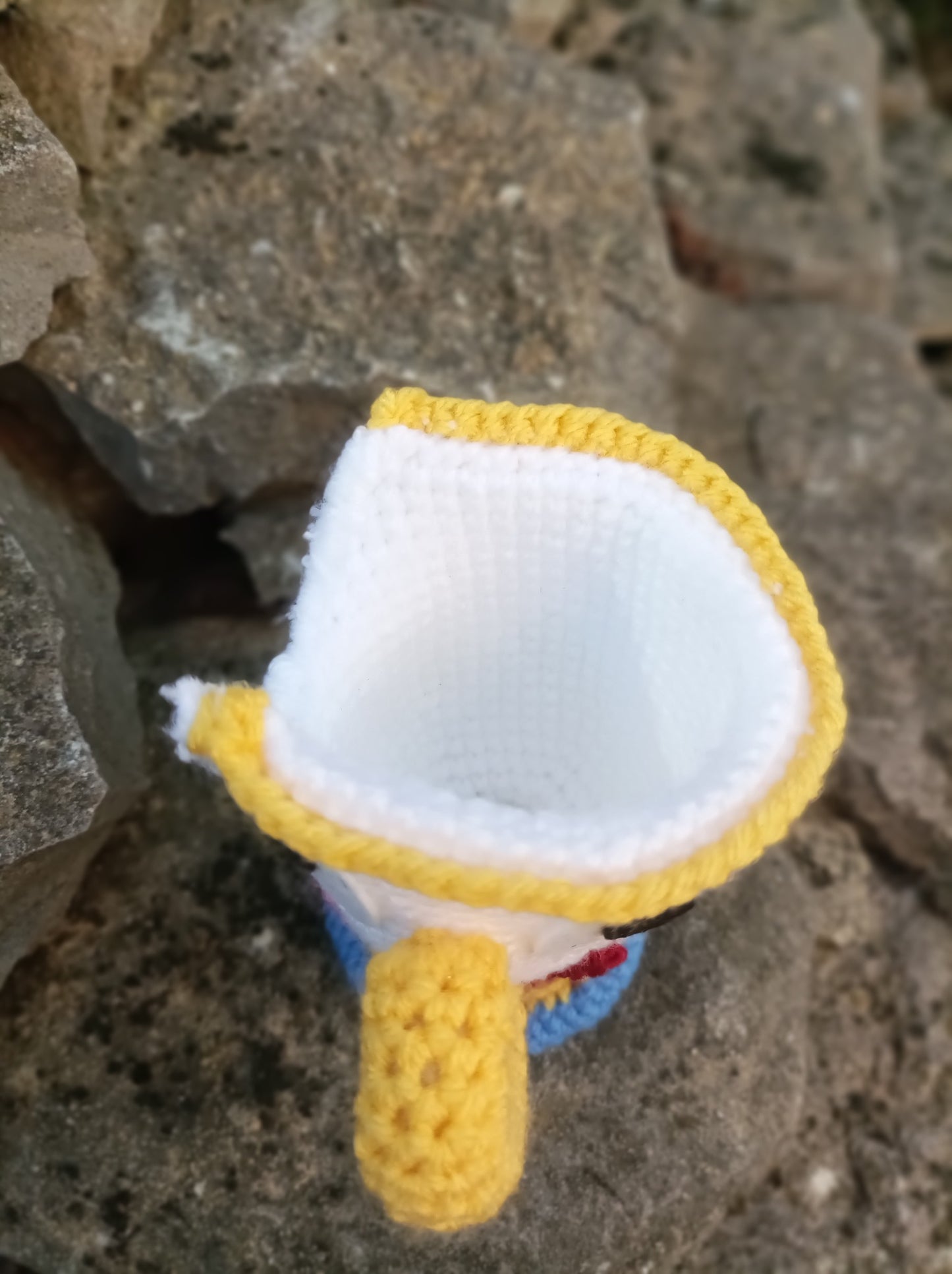 Chip
