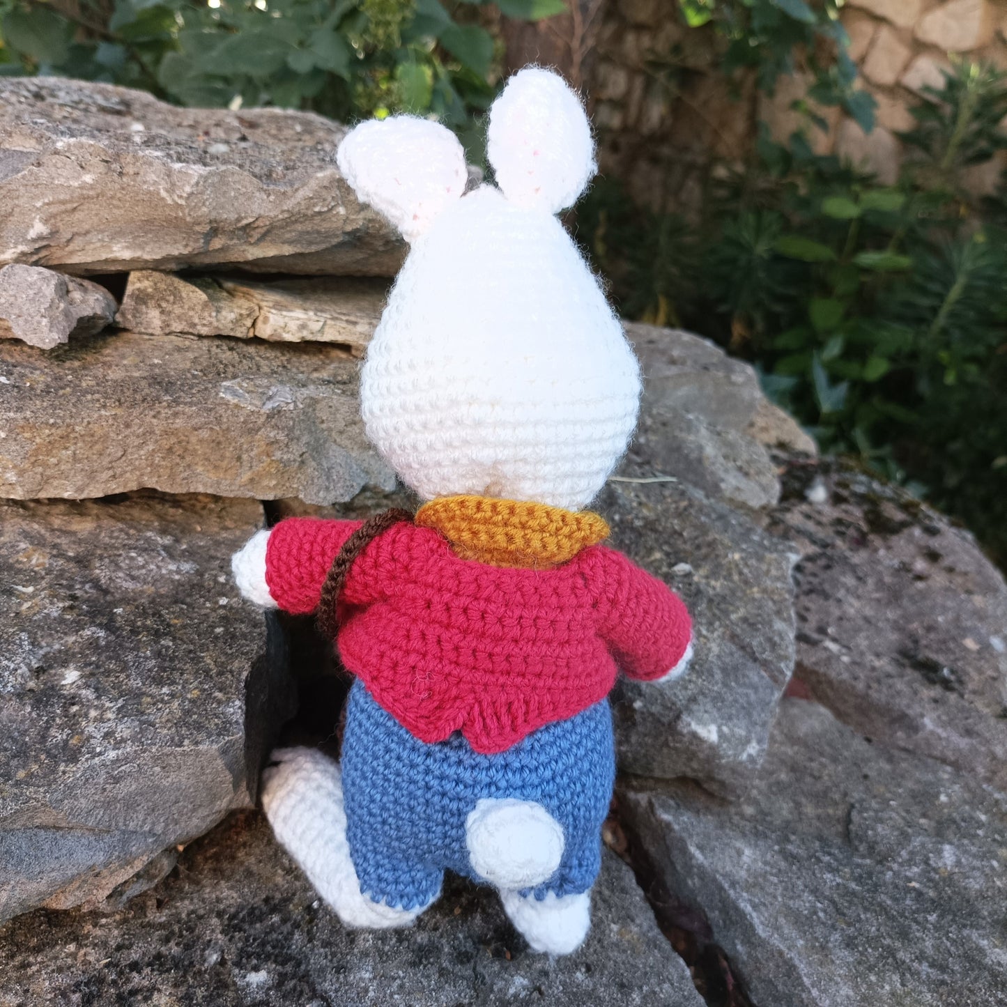 lapin blanc