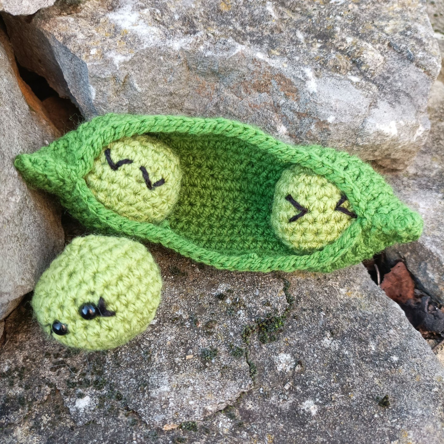 set légumes