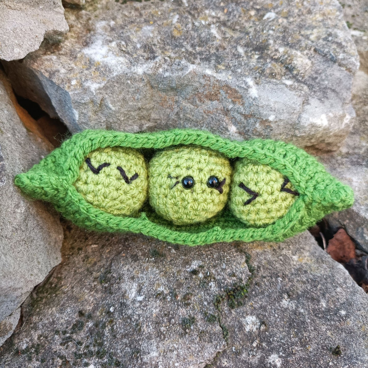 set légumes
