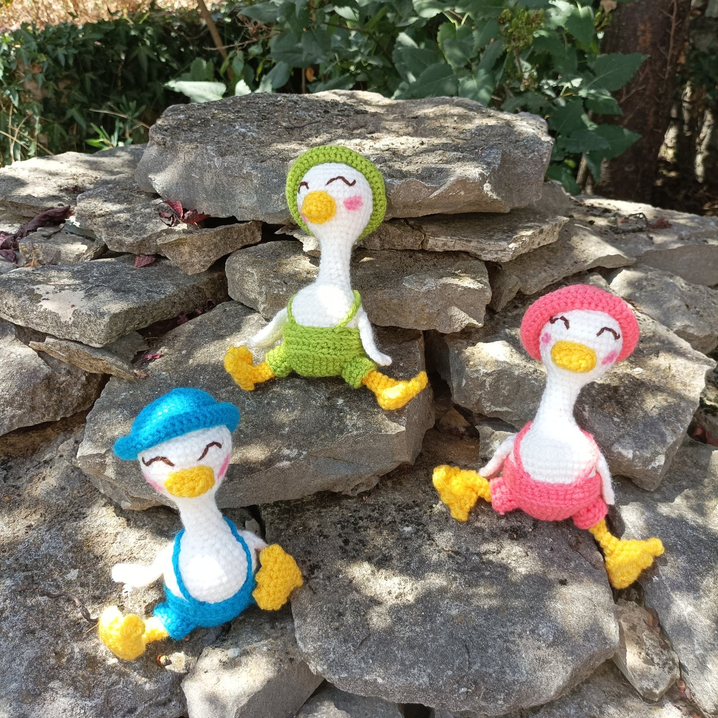 ronde de canards