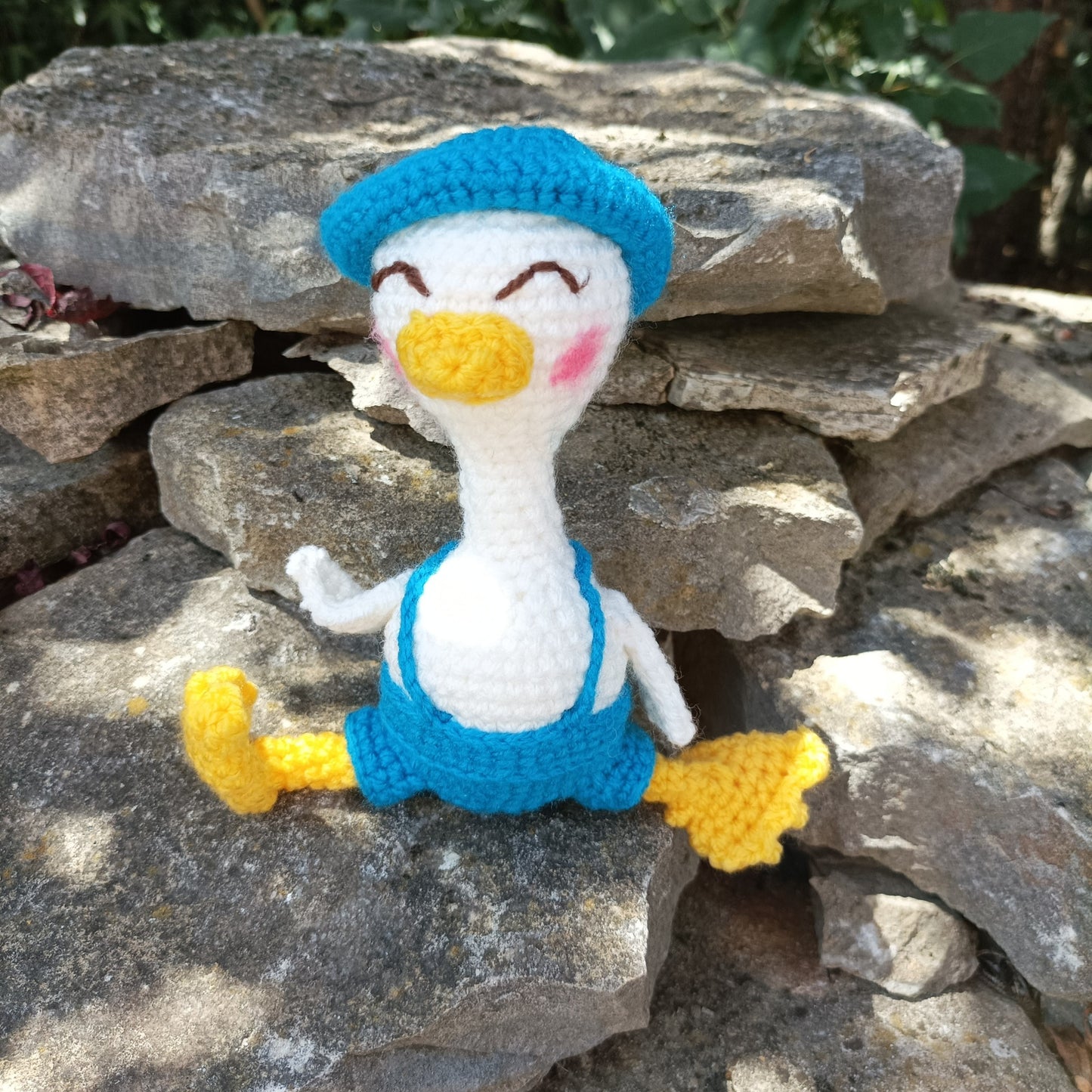 ronde de canards