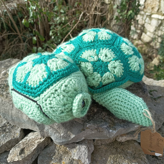 tortue fleurs africaines