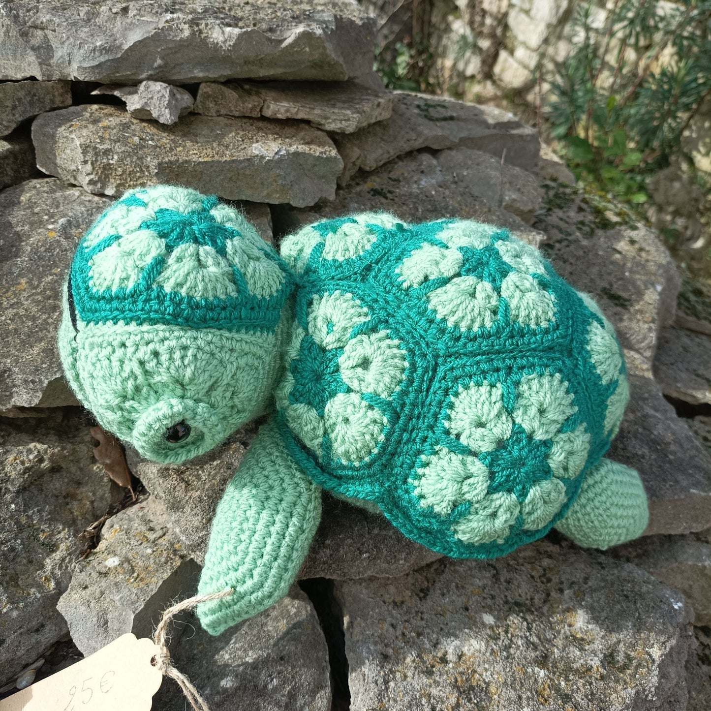 tortue fleurs africaines