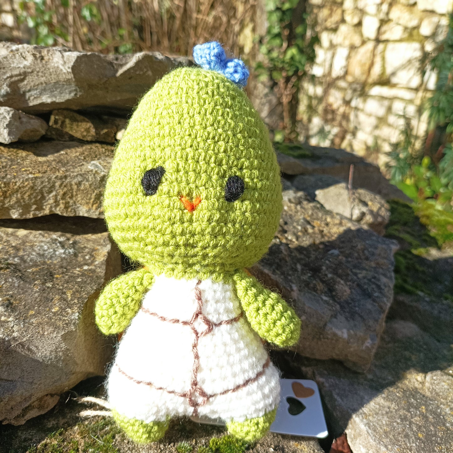 doudou tortue