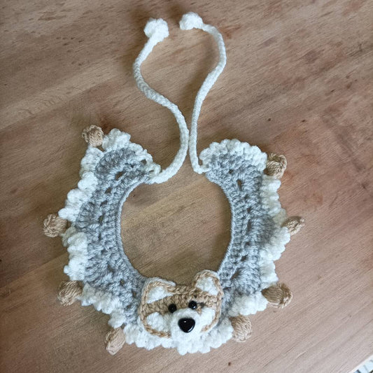 collier pour toutou