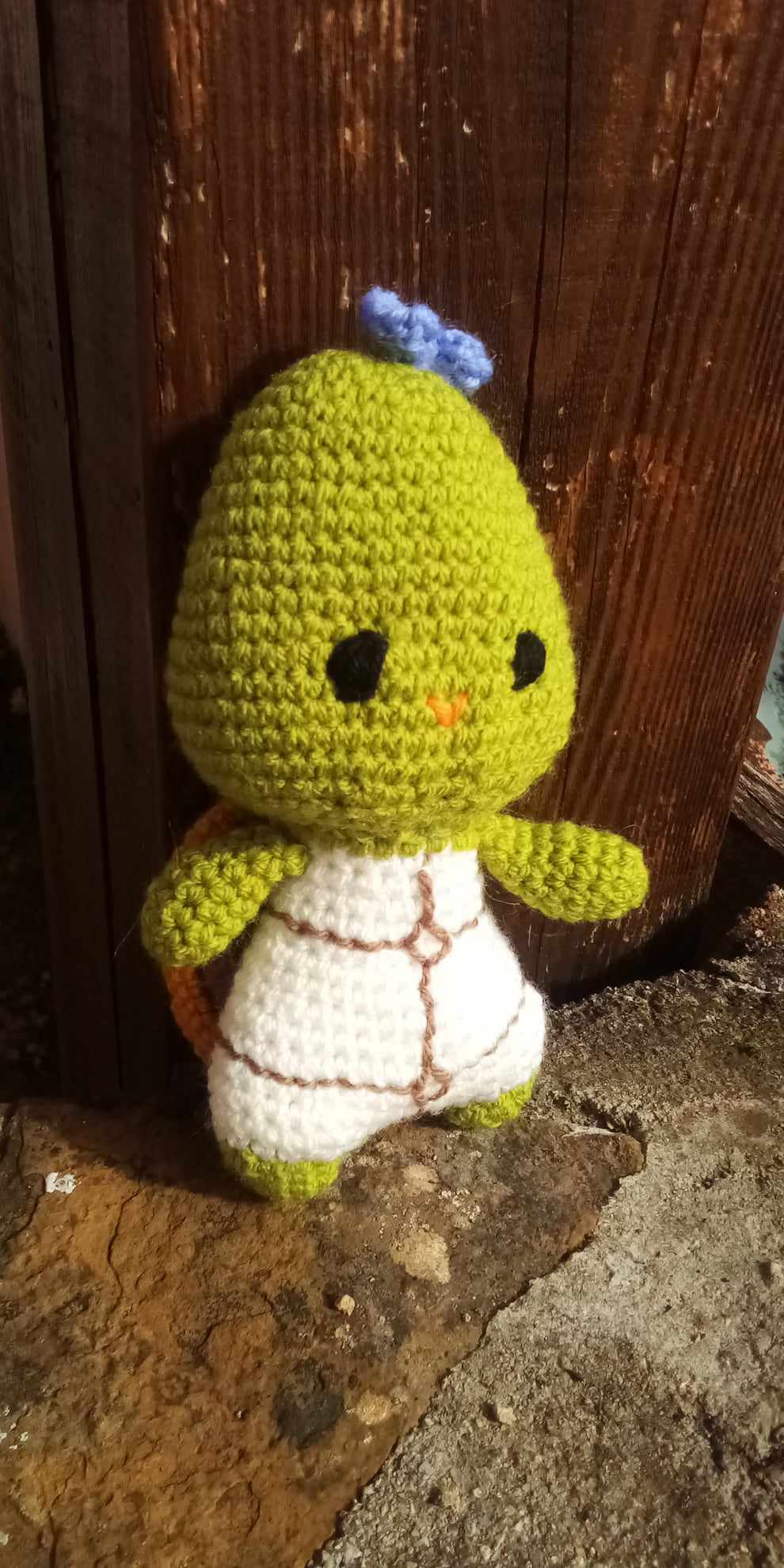 doudou tortue