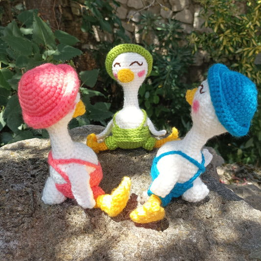 ronde de canards